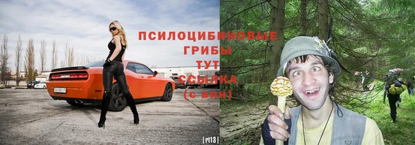 PSILOCYBIN Арсеньев
