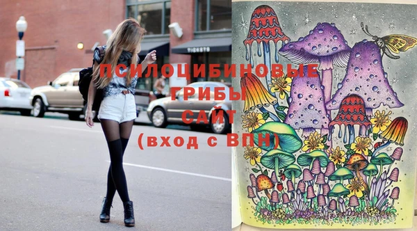 PSILOCYBIN Арсеньев