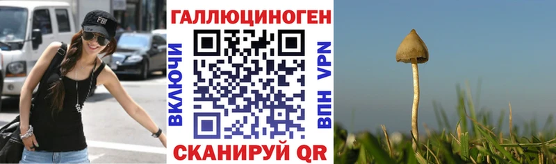Псилоцибиновые грибы MAGIC MUSHROOMS  Беломорск 